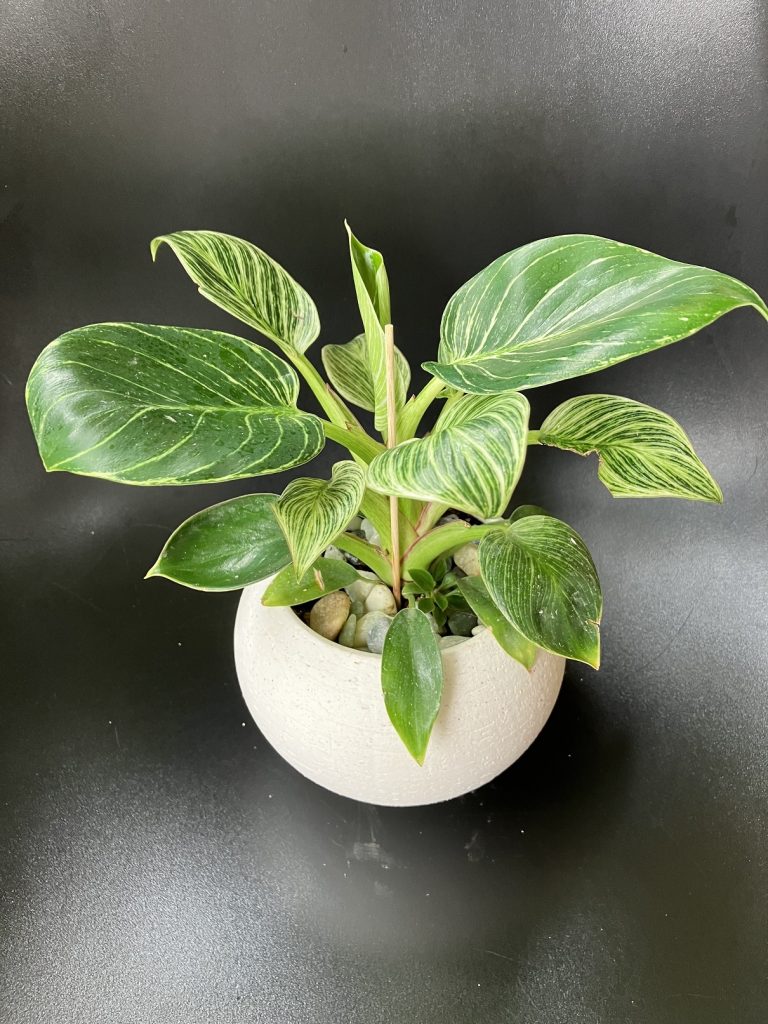 株式会社グッドツーガーデン｜神戸のエクステリア・外構工事・ガーデン