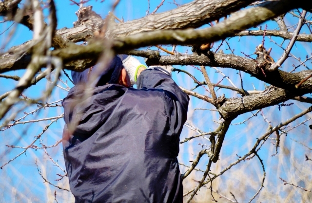 4ac3d0867177caa683cf7a8a417fd8