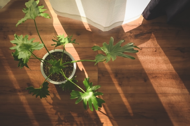 株式会社グッドツーガーデン｜神戸のエクステリア・外構工事・ガーデン